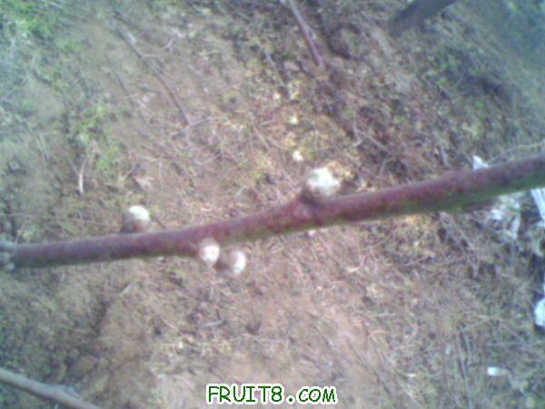 IMG0048A.jpg