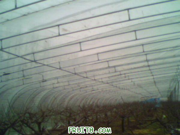 IMG0047A.jpg