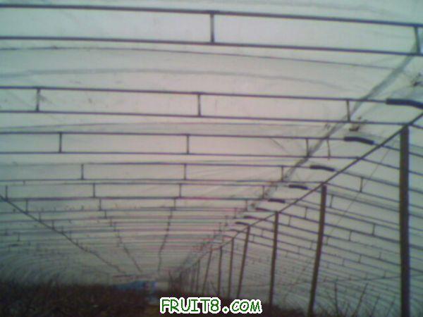 IMG0045A.jpg