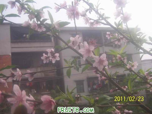 С 100_2973.JPG