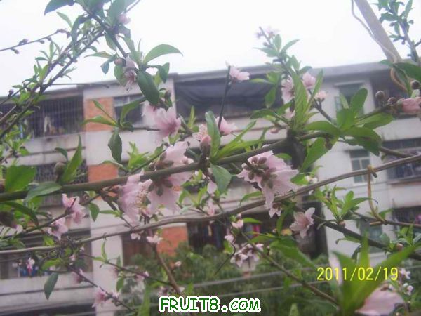 С 100_2892.JPG