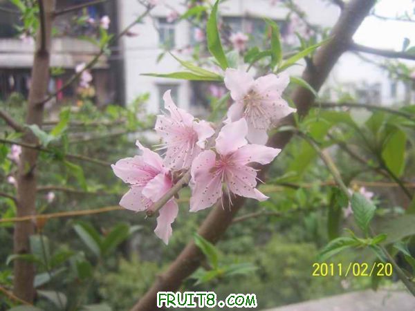 С 100_2913.JPG