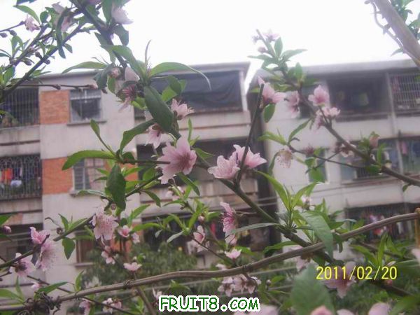 С 100_2923.JPG