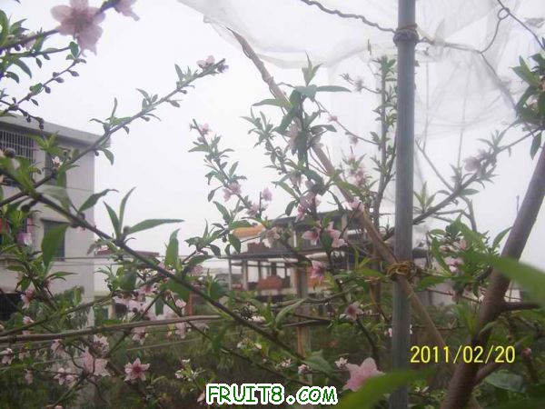 С 100_2915.JPG