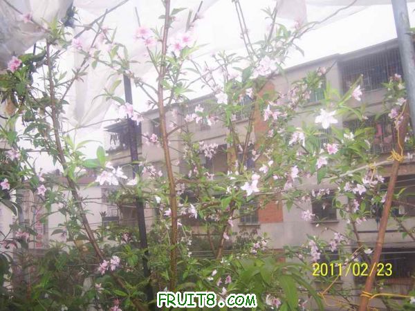 С 100_2956.JPG