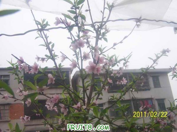 С 100_2942.JPG