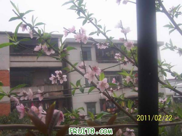 С 100_2941.JPG