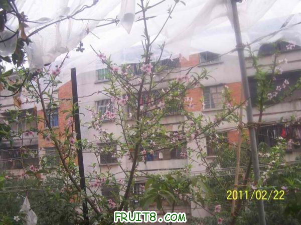 С 100_2947.JPG