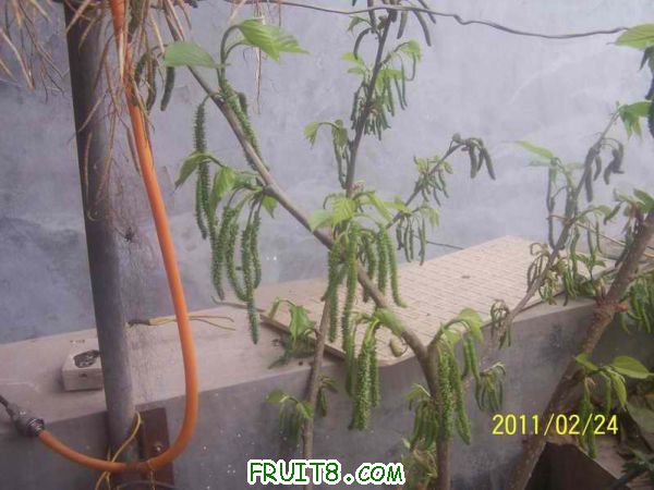 С 100_2989.JPG