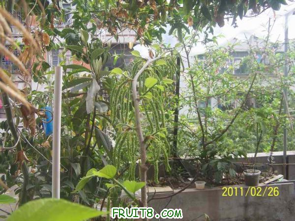 С 100_3058.JPG