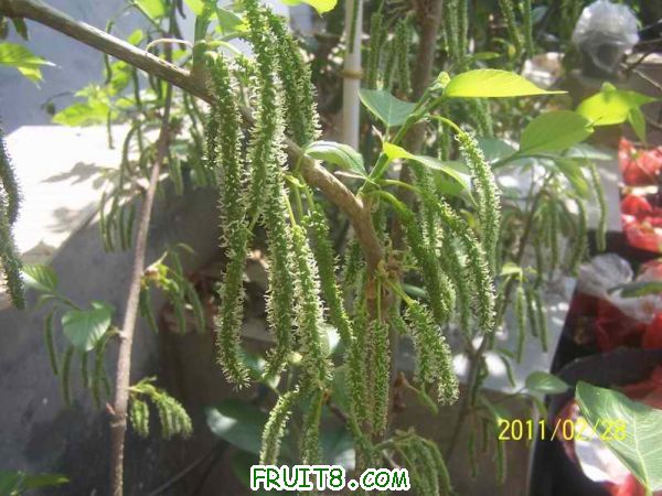 С 100_3083.JPG