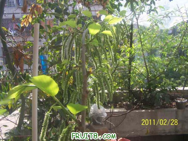 С 100_3084.JPG