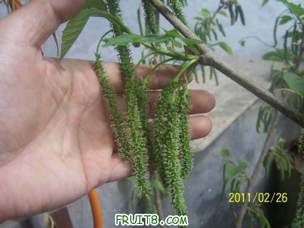 С 100_3055.JPG