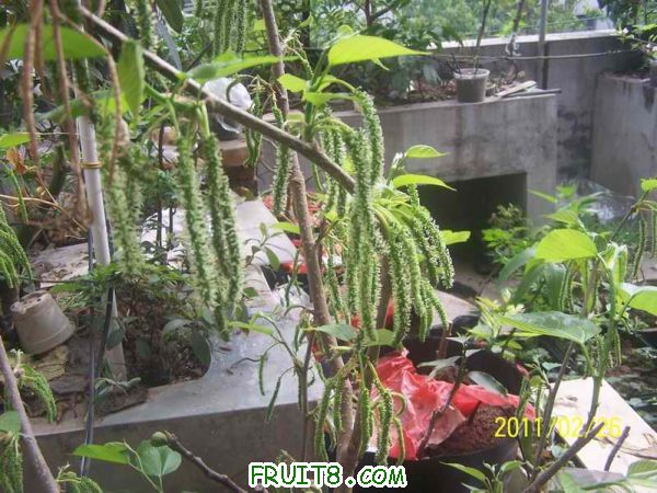 С 100_3056.JPG