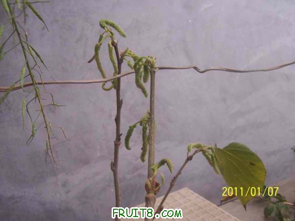 С 100_2352.JPG