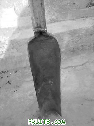 20110218_1453_0.jpg