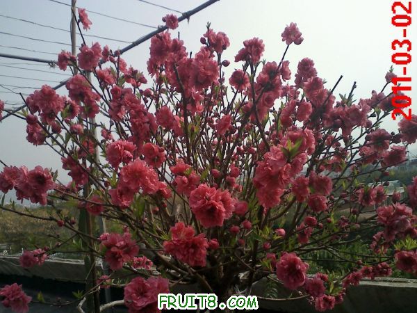 20110302143119.jpg