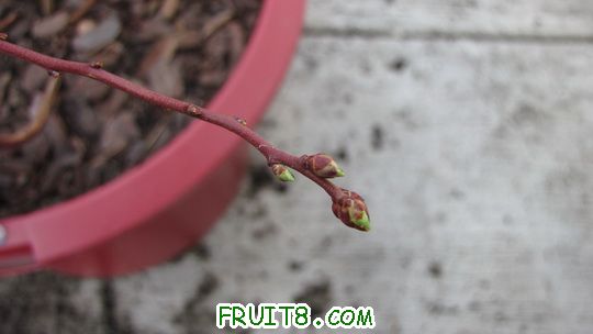 IMG_0389.jpg