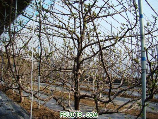 nEO_IMG_DSC01206.jpg