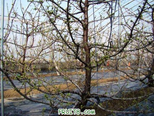 nEO_IMG_DSC01203.jpg