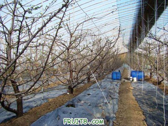 nEO_IMG_DSC01207.jpg