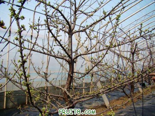 nEO_IMG_DSC01209.jpg