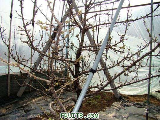nEO_IMG_DSC01212.jpg