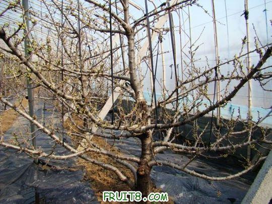 nEO_IMG_DSC01213.jpg
