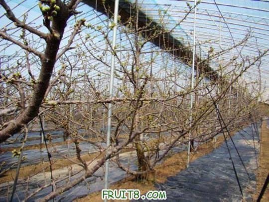 nEO_IMG_DSC01217.jpg