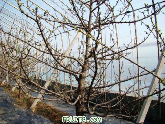nEO_IMG_DSC01218.jpg