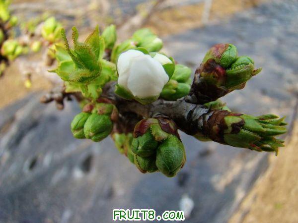 nEO_IMG_DSC01224.jpg