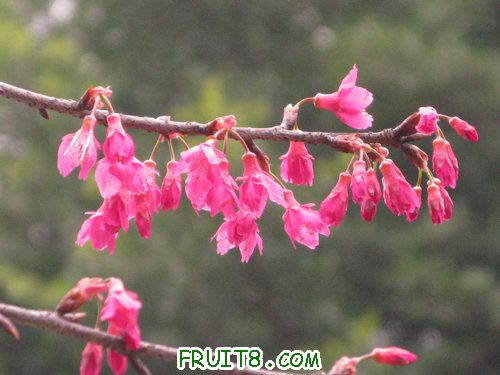 IMG_1993.jpg