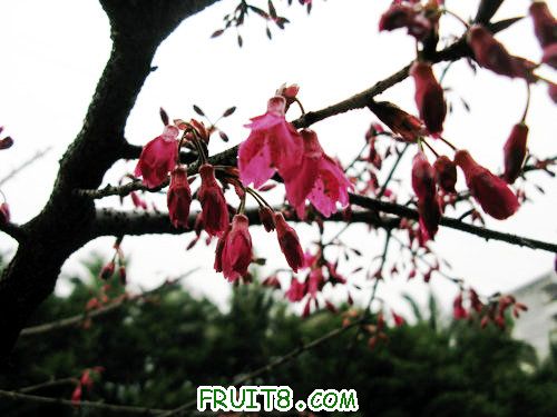 IMG_1988.jpg