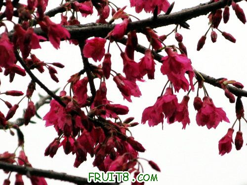 IMG_1995.jpg