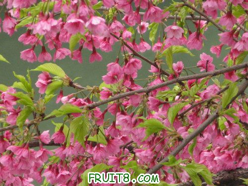 IMG_2010.jpg