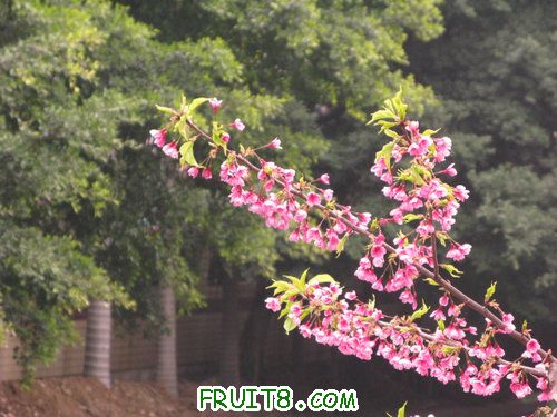 IMG_2021.jpg
