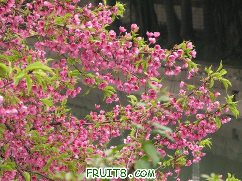 IMG_2032.jpg