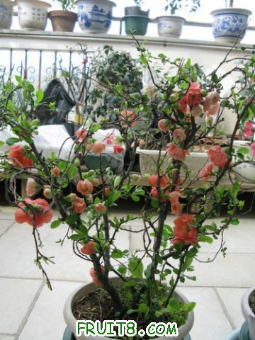 IMG_2564.JPG