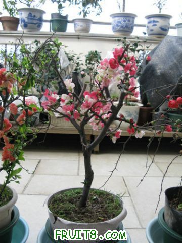 IMG_2565.JPG