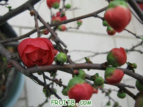 IMG_2578.JPG