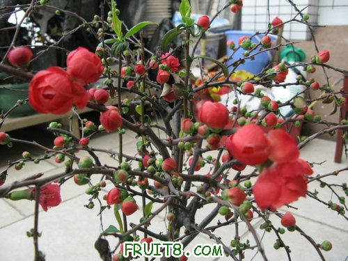 IMG_2645.JPG