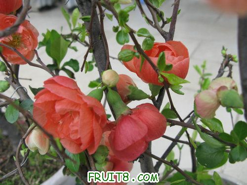 IMG_2613.JPG