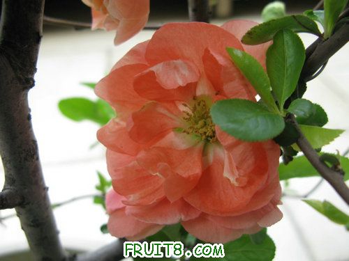IMG_2605.JPG