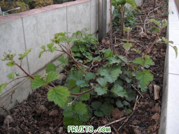 1102251829d42baf99266fabef.jpg