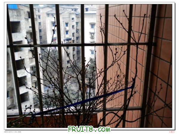 DSCN2111.jpg
