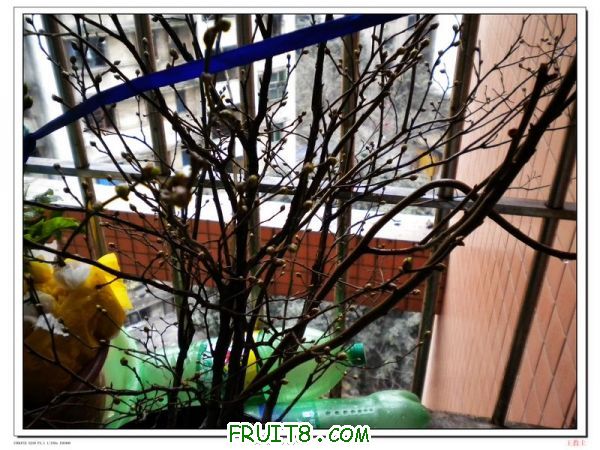DSCN2114.jpg