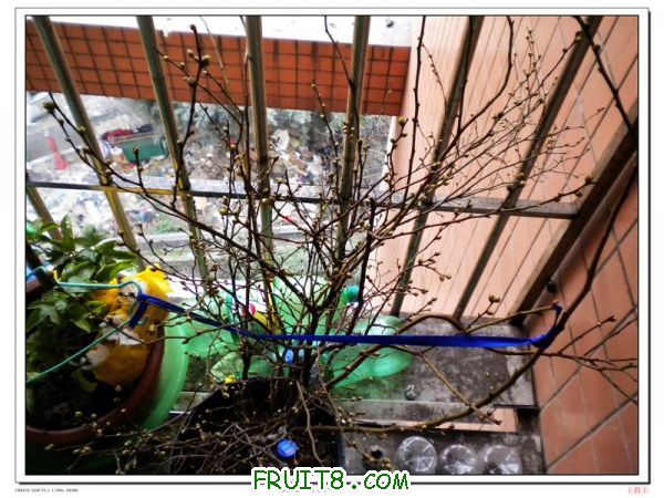 DSCN2115.jpg
