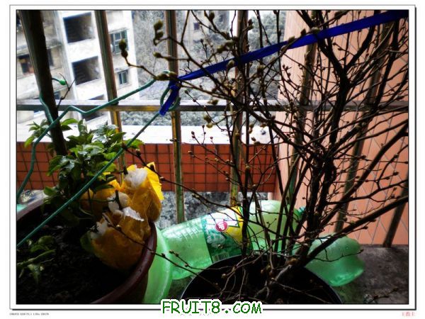 DSCN2118.jpg