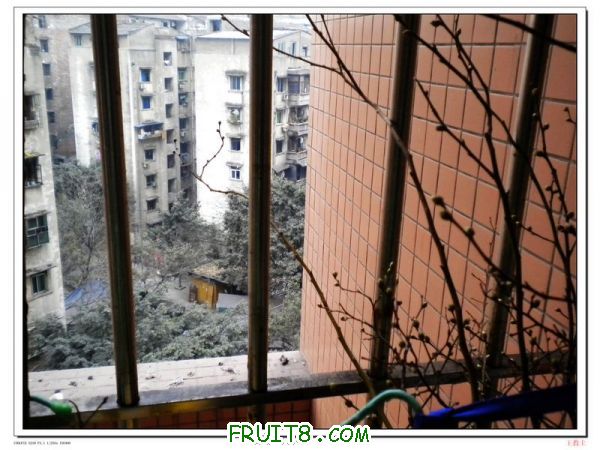DSCN2117.jpg