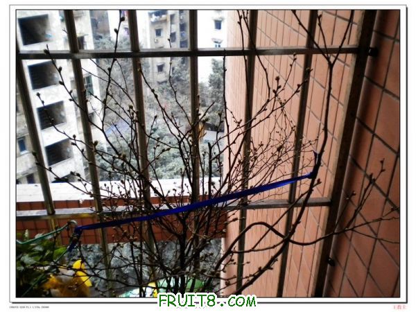DSCN2116.jpg